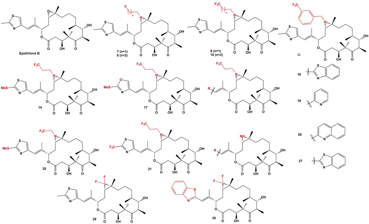 Fig.3 Chemical structures of epothilone derivatives.